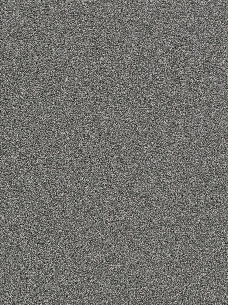 Dreamweaver Carpet Cape Cod Pewter Carpet 2540_890