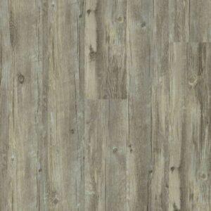 Shaw - 2545V Valore Plus - Roma