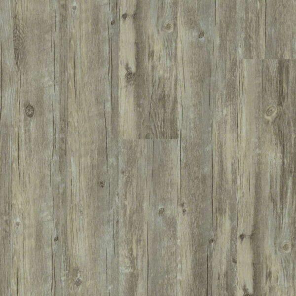 Shaw - 2545V Valore Plus - Roma