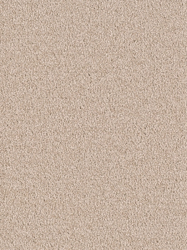 Dreamweaver Carpet East Hampton Sand Carpet 2550_710