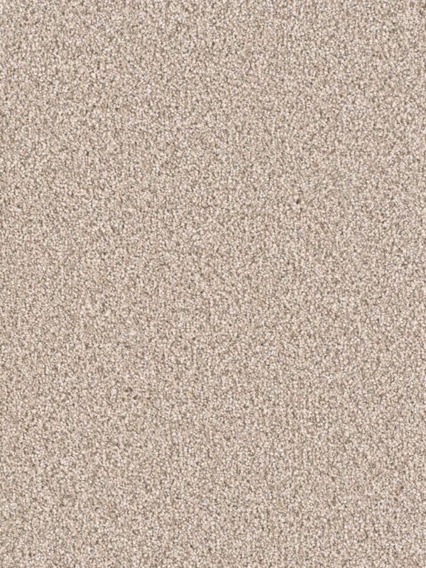 Dreamweaver Carpet East Hampton Oxford Carpet 2550_720