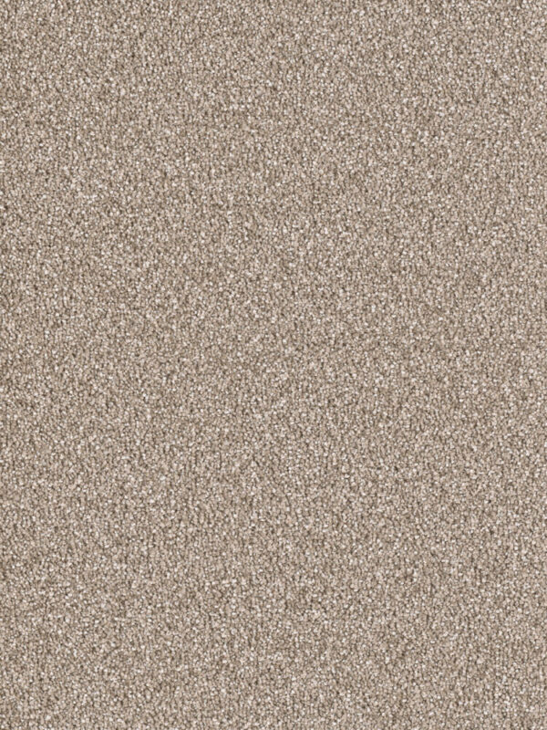 Dreamweaver Carpet East Hampton Acorn Carpet 2550_858