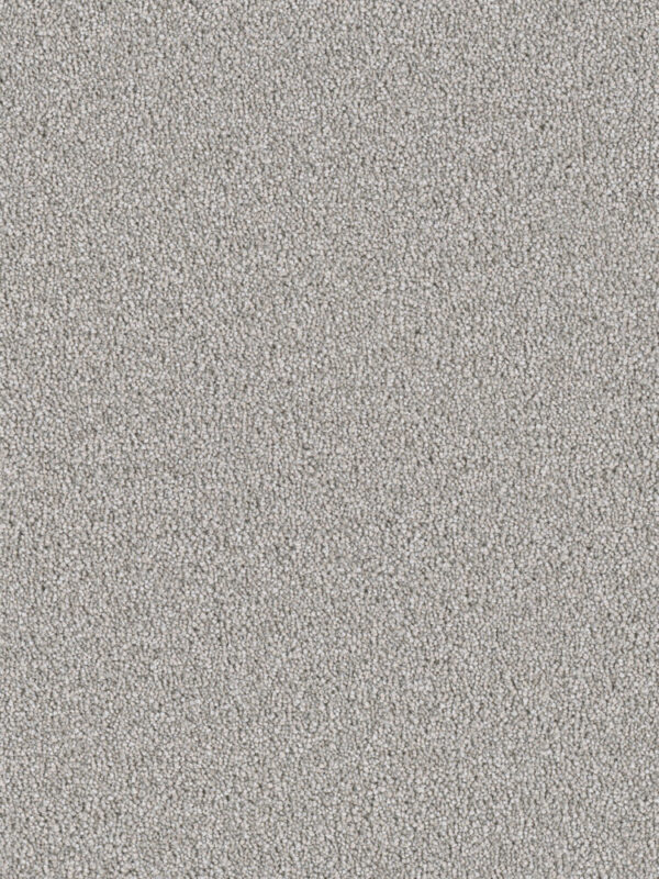 Dreamweaver Carpet East Hampton Chrome Carpet 2550_927