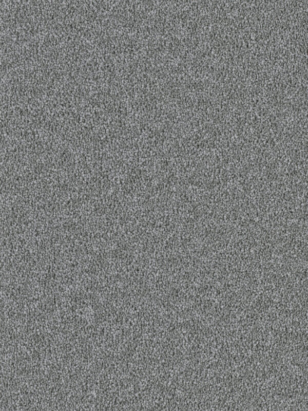 Dreamweaver Carpet East Hampton Armor Carpet 2550_968