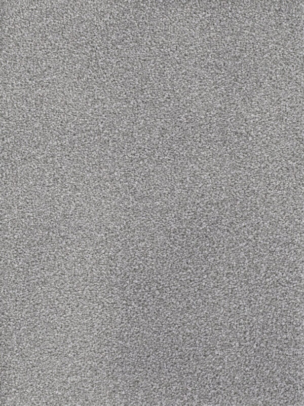 Dreamweaver Carpet Montauk Smoke Carpet 2560_420
