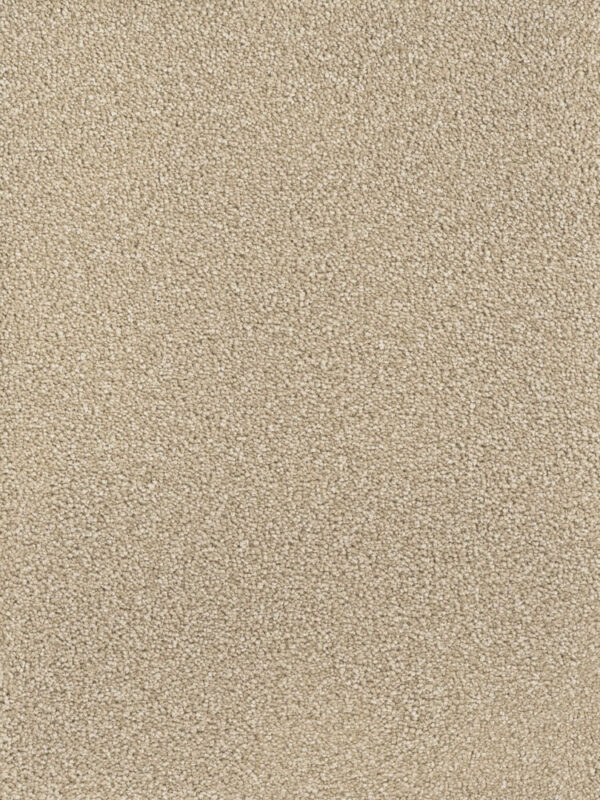 Dreamweaver Carpet Montauk Cashew Carpet 2560_530