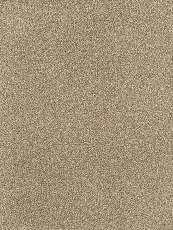 Dreamweaver Carpet Montauk Bamboo Carpet 2560_565