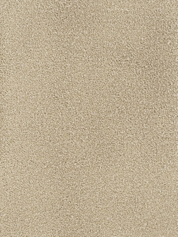 Dreamweaver Carpet Montauk Sand Carpet 2560_710