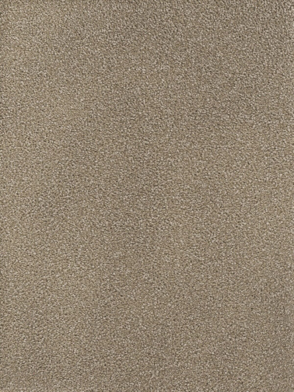Dreamweaver Carpet Montauk Mushroom Carpet 2560_715