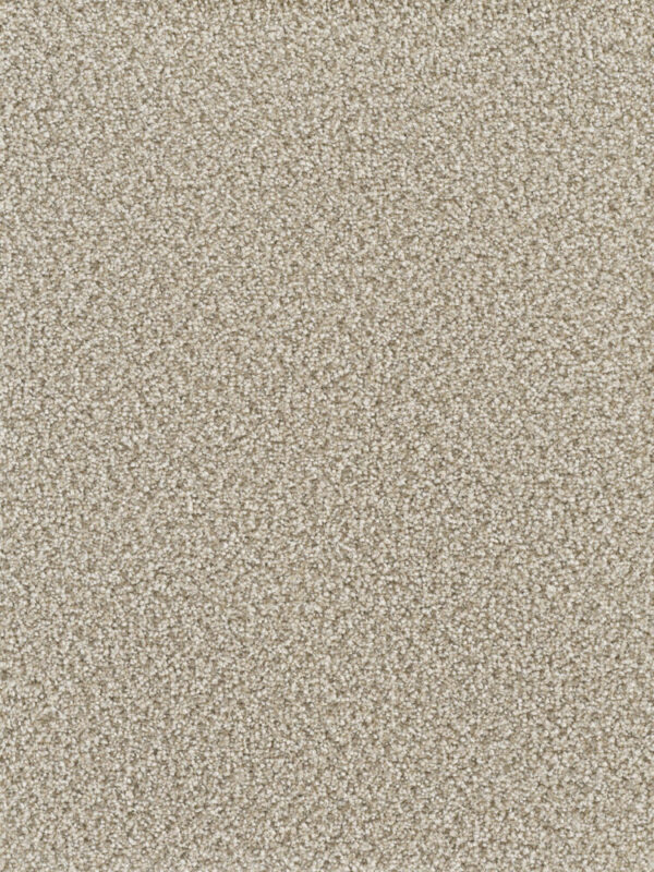 Dreamweaver Carpet Montauk Oxford Carpet 2560_720