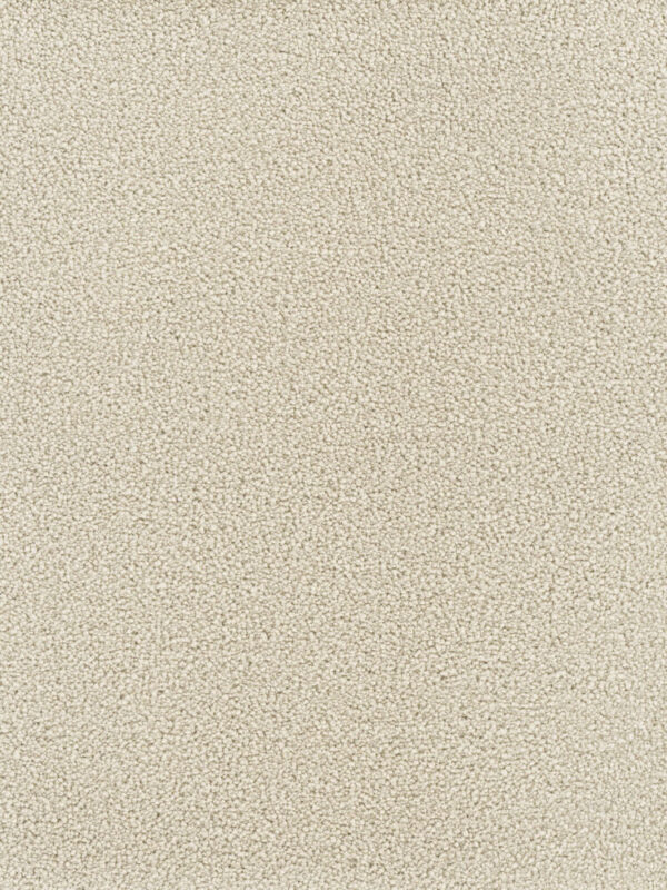 Dreamweaver Carpet Montauk Ivory Carpet 2560_730