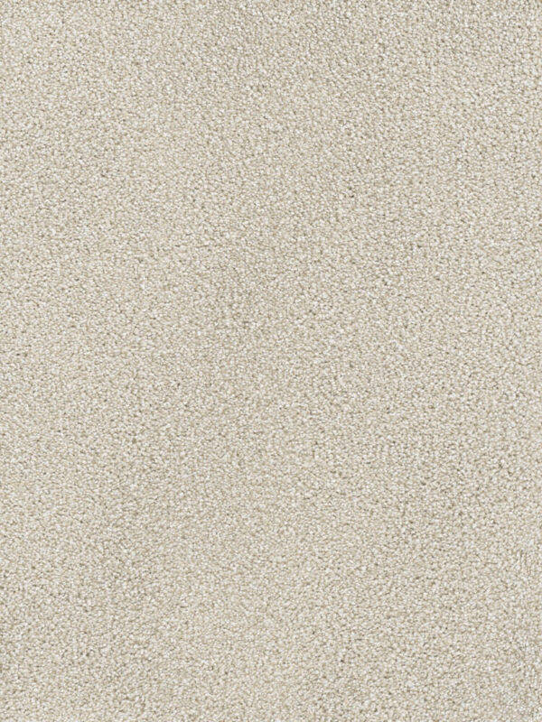 Dreamweaver Carpet Montauk Parchment Carpet 2560_744
