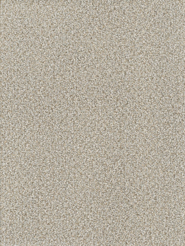 Dreamweaver Carpet Montauk Iron Frost Carpet 2560_815