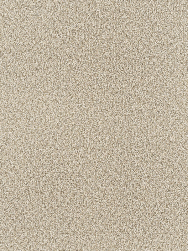 Dreamweaver Carpet Montauk Linen Carpet 2560_824