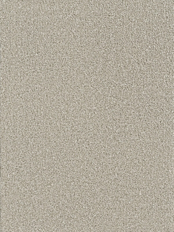 Dreamweaver Carpet Montauk Silver Lining Carpet 2560_830