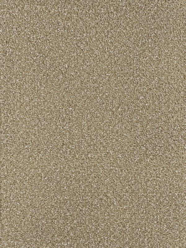 Dreamweaver Carpet Montauk Acorn Carpet 2560_858
