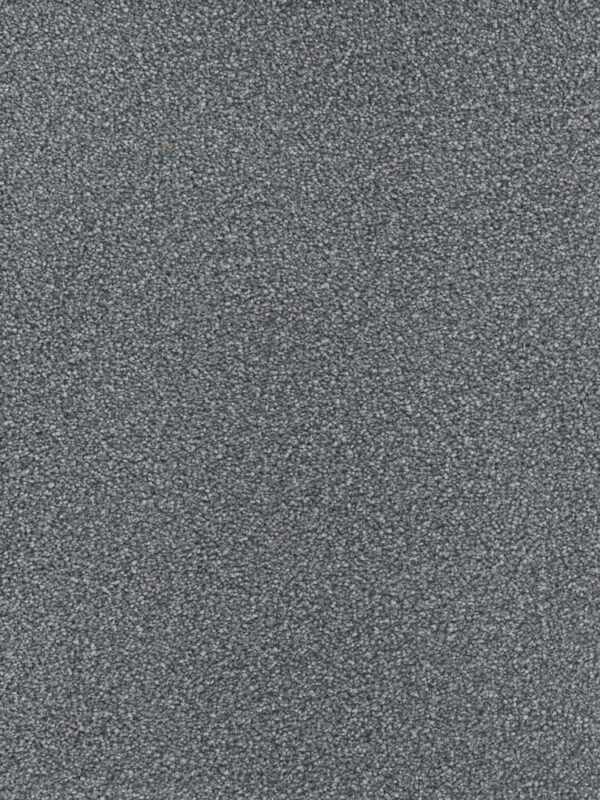 Dreamweaver Carpet Montauk Pewter Carpet 2560_890