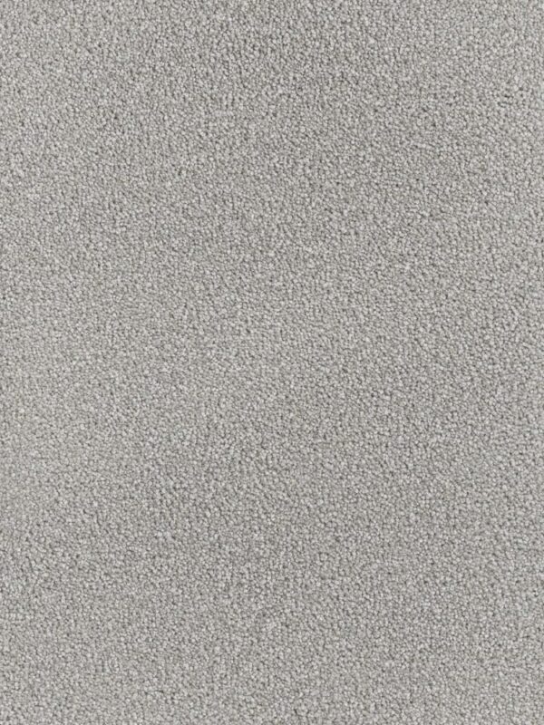 Dreamweaver Carpet Montauk Chrome Carpet 2560_927
