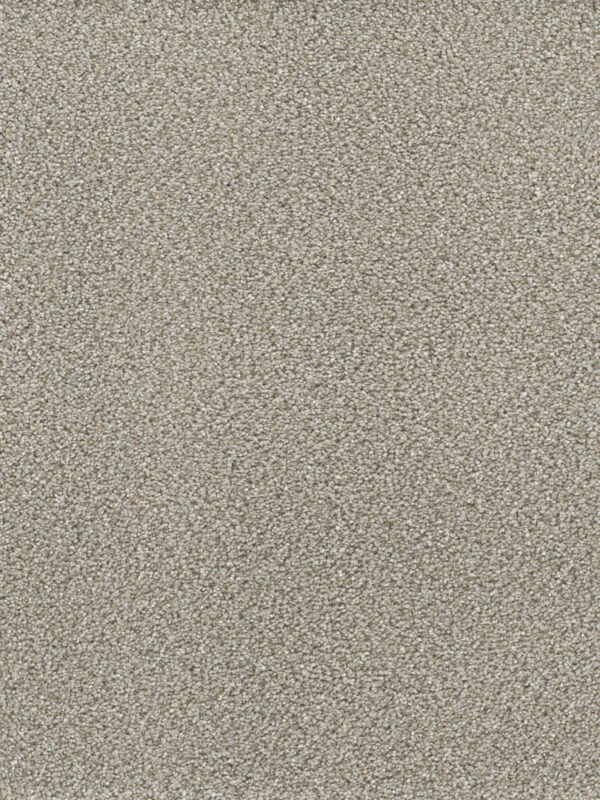Dreamweaver Carpet Montauk Ash Carpet 2560_945