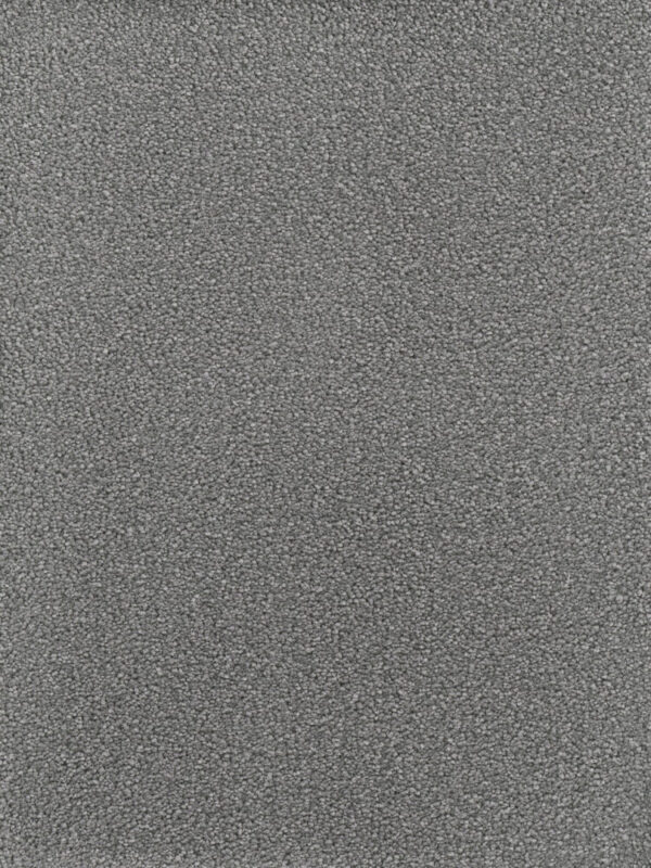 Dreamweaver Carpet Montauk Armor Carpet 2560_968