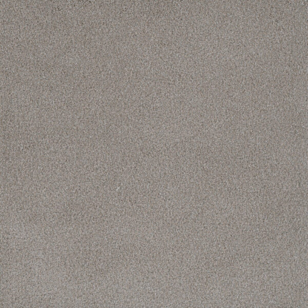 Dreamweaver Carpet Palmetto I Cherry Blossom Carpet 2732_2056