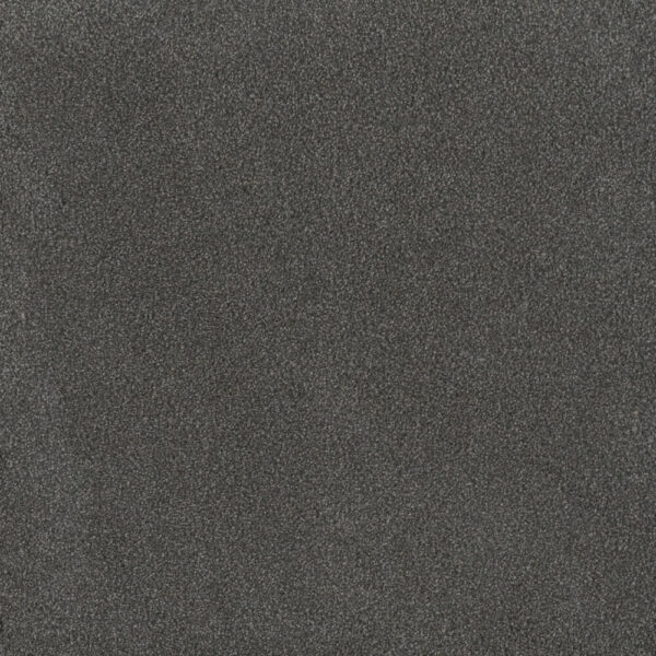 Dreamweaver Carpet Palmetto III Flint Carpet 2750_2138