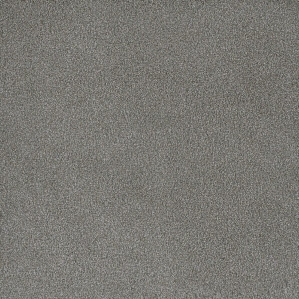 Dreamweaver Carpet Palmetto III Waterlily Carpet 2750_2153
