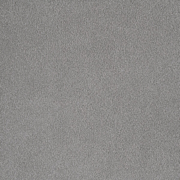 Dreamweaver Carpet Palmetto III Morning Glory Carpet 2750_2252
