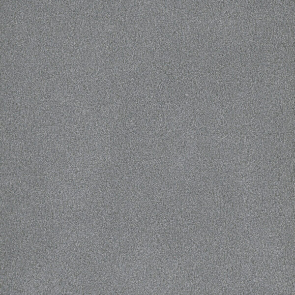 Dreamweaver Carpet Palmetto I Skylight Carpet 2732_2281