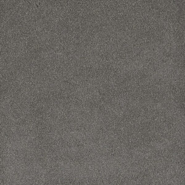 Dreamweaver Carpet Palmetto I Bay Leaf Carpet 2732_2290