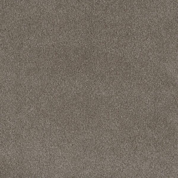 Dreamweaver Carpet Palmetto III Vienna Carpet 2750_2303