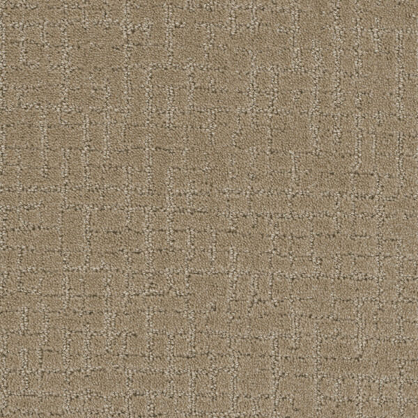 Dreamweaver Carpet Modern Edge Warm Sand Carpet 2825_6339