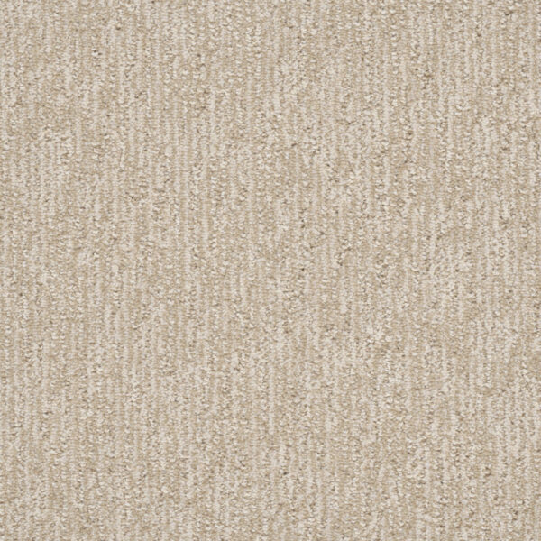 Dreamweaver Carpet Finishing Touch Beach Butter Carpet 2835_2838