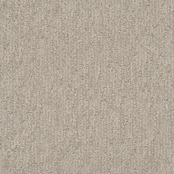 Dreamweaver Carpet Finishing Touch Cosmo Carpet 2835_2849