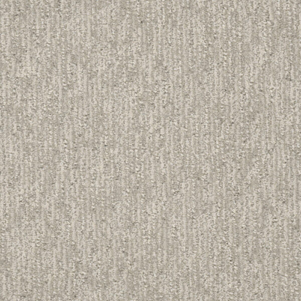 Dreamweaver Carpet Finishing Touch Heirloom Carpet 2835_2861