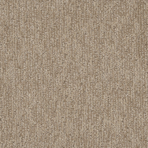 Dreamweaver Carpet Finishing Touch Shortbread Carpet 2835_2946