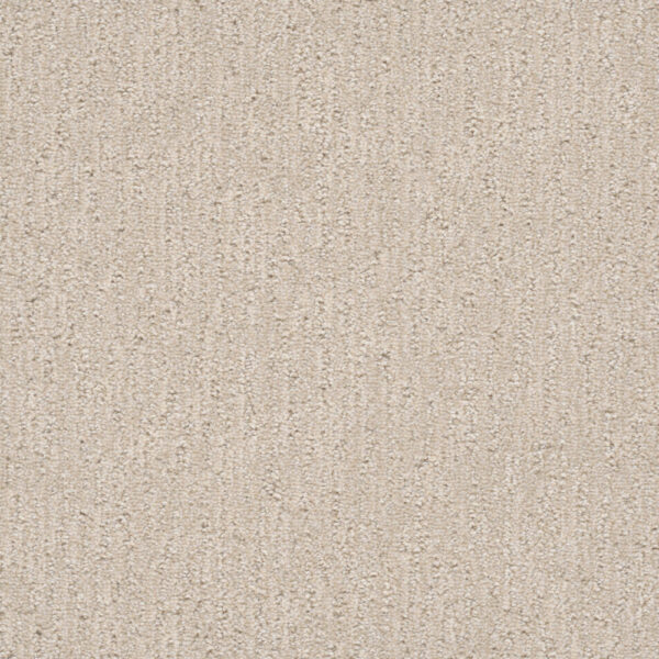 Dreamweaver Carpet Finishing Touch Macaroon Carpet 2835_2951