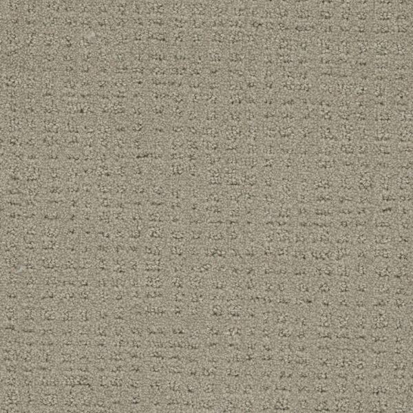 Dreamweaver Carpet Common Ground BEACH HOUSE Carpet 2845_6005