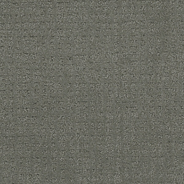 Dreamweaver Carpet Common Ground SKYWAY Carpet 2845_6009