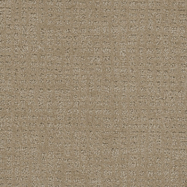 Dreamweaver Carpet Common Ground WARM SAND Carpet 2845_6339