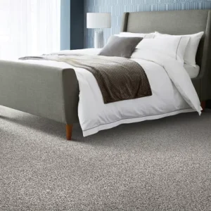 Karastan Refined Details SmartStrand Carpet