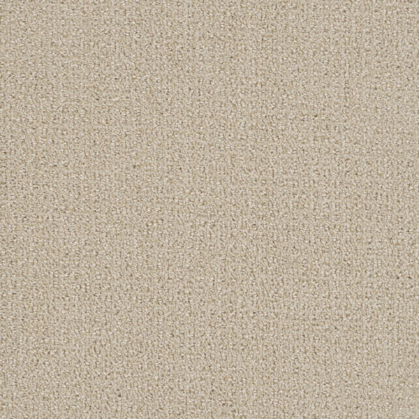Dreamweaver Carpet Pinpoint Champagne Fizz Carpet 2870_6309