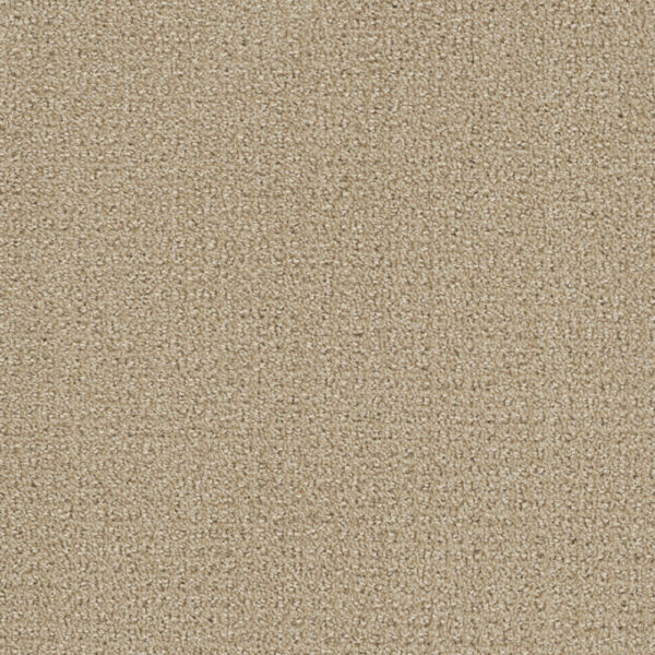 Dreamweaver Carpet Pinpoint Soft Pine Carpet 2870_6317