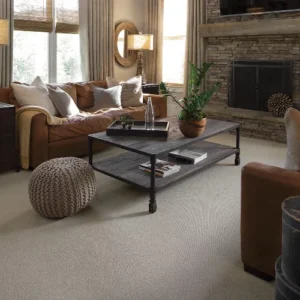 Karastan Nouveau Classic Smartstrand Carpet