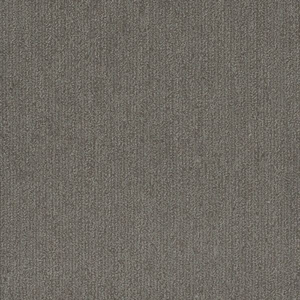 Dreamweaver Carpet Smooth Sailing Deep Secret Carpet 2875_2857