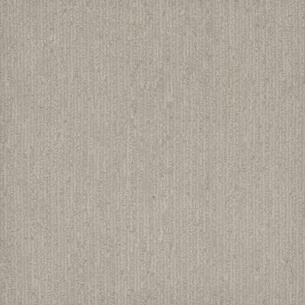 Dreamweaver Carpet Smooth Sailing Heirloom Carpet 2875_2861