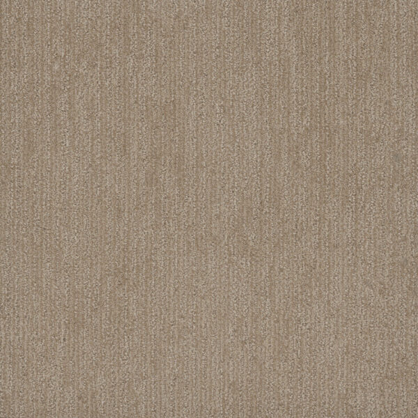 Dreamweaver Carpet Smooth Sailing Shortbread Carpet 2875_2946