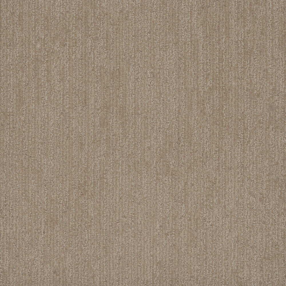 Dreamweaver Carpet Smooth Sailing Shortbread Carpet 2875_2946