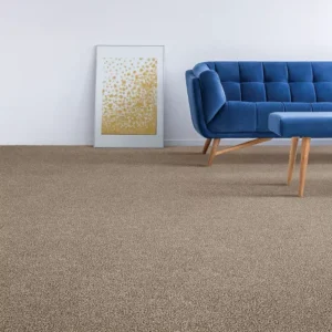 Karastan Luxurious Vision SmartStrand Carpet