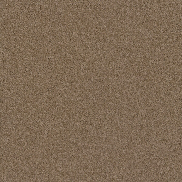 Dreamweaver Carpet Broadcast Plus Sandstone Carpet 3125_715